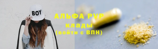 хмурый Алзамай