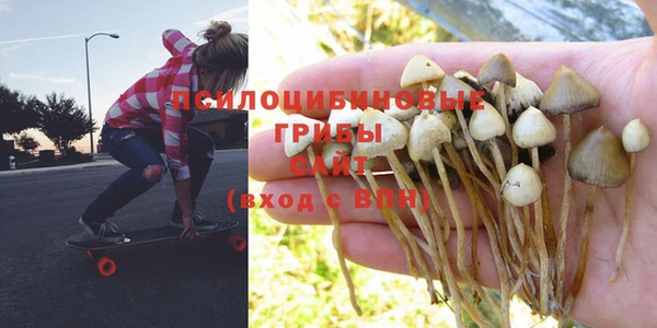 спайс Аркадак