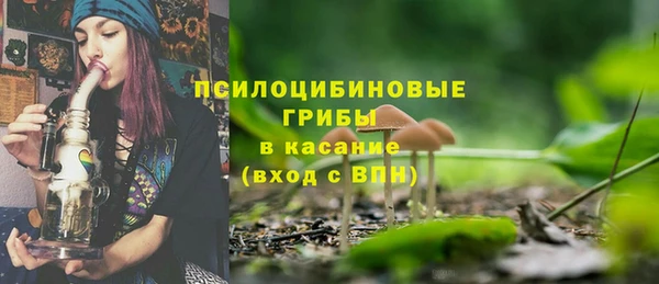 спайс Аркадак
