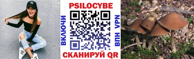 Галлюциногенные грибы ЛСД  Камбарка 